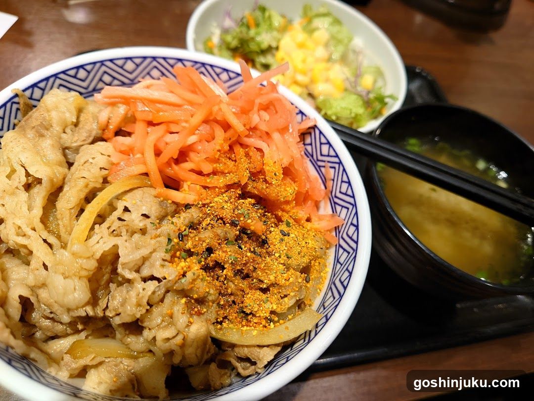 Japanese Meal with Tonkatsu and Salad