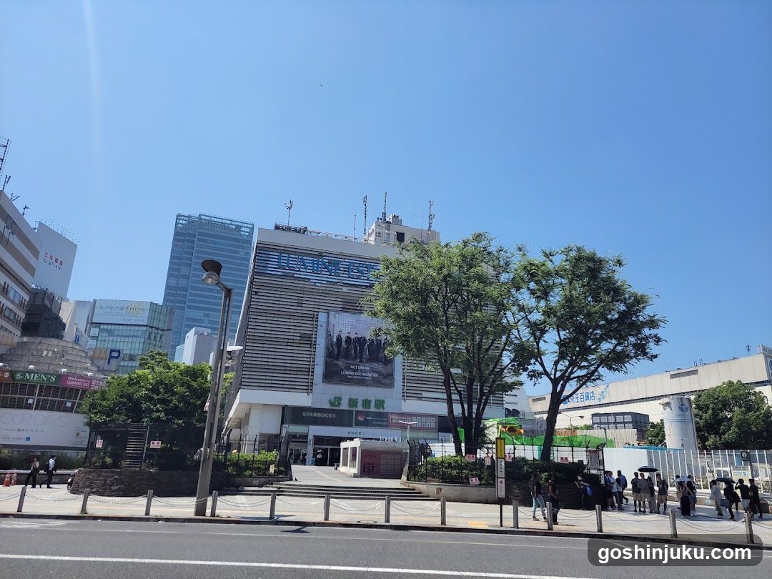 Shinjuku Station Area View