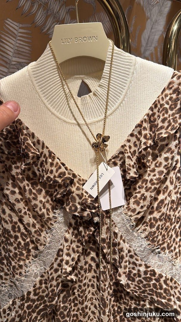 Lily Brown Leopard Print Dress Display