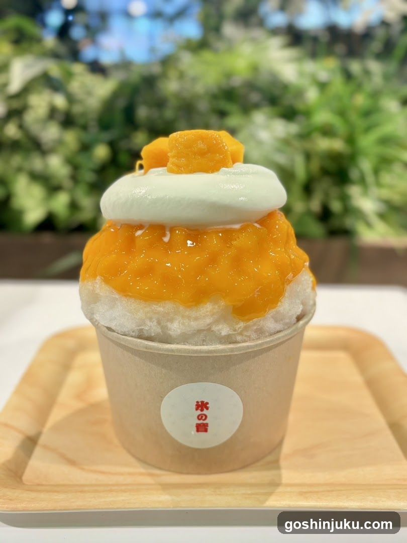 Mango Shaved Ice Dessert