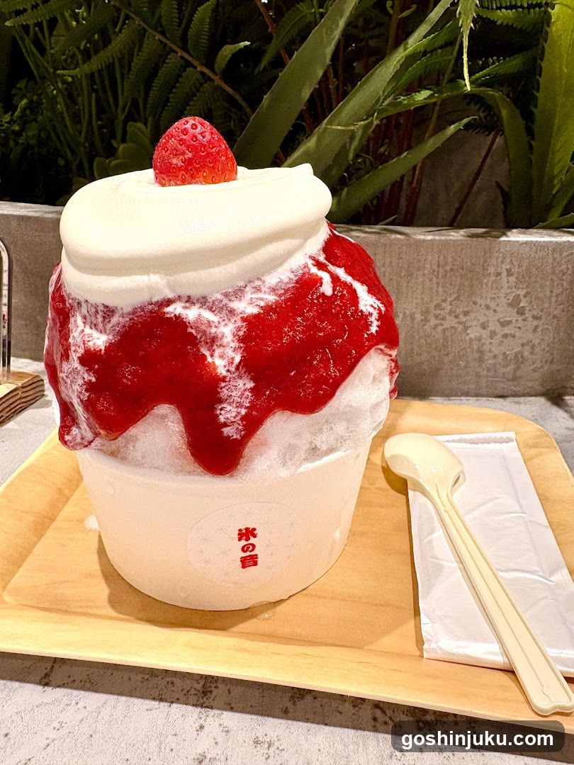 Strawberry Shaved Ice Dessert