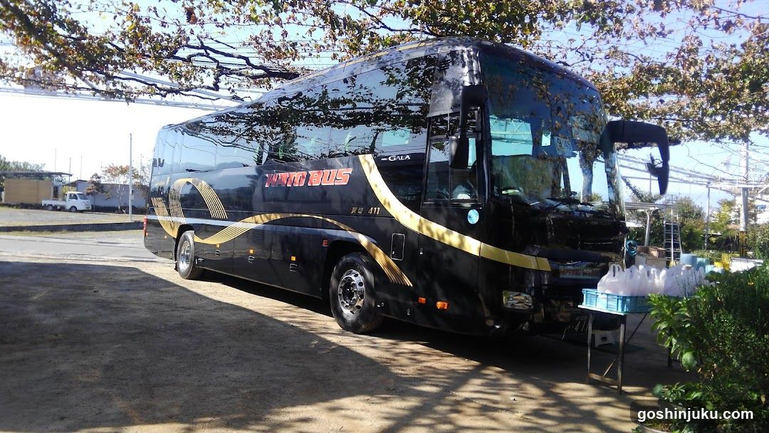 Black Bus with Gold Accents