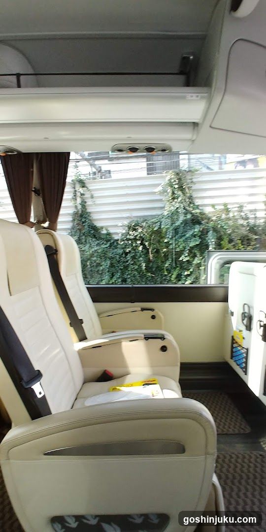 Interior of a vehicle with cream-colored seats and visible greenery outside