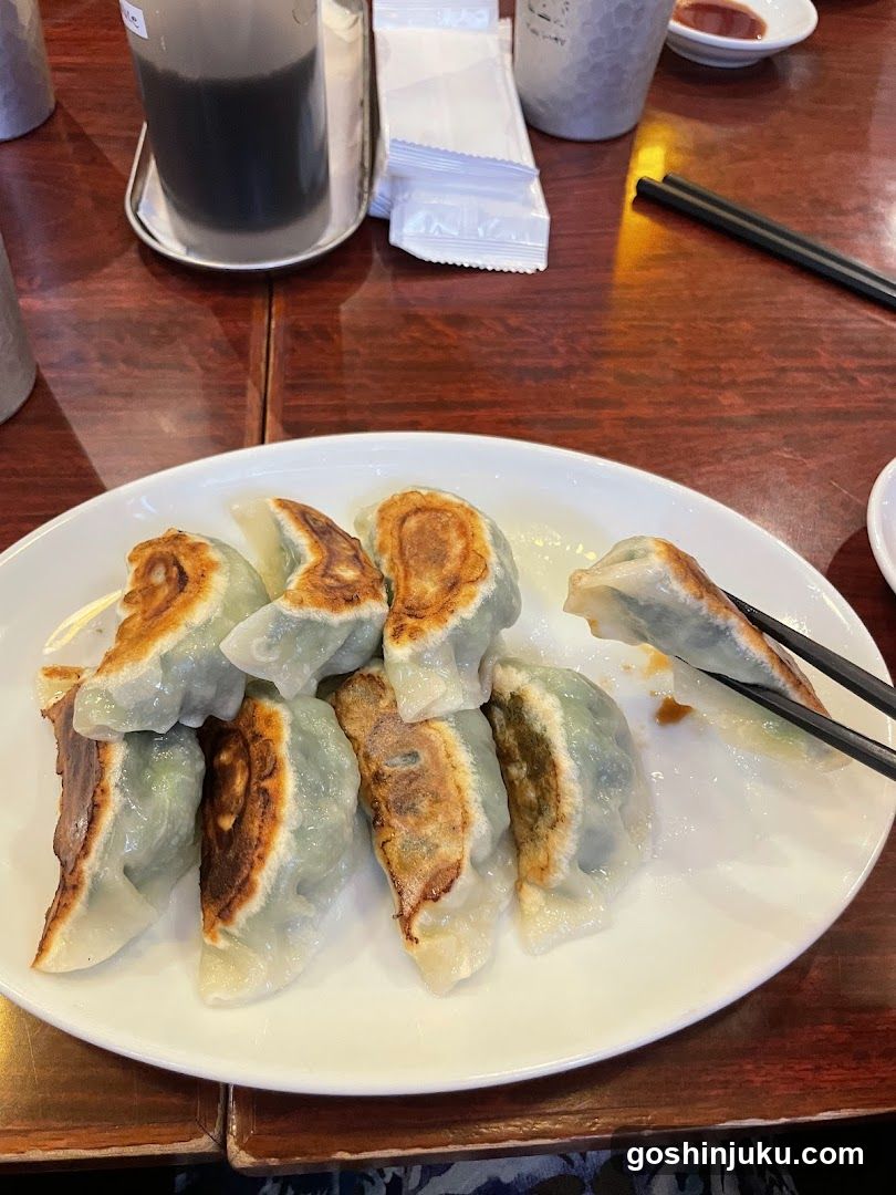 Gyoza on a plate