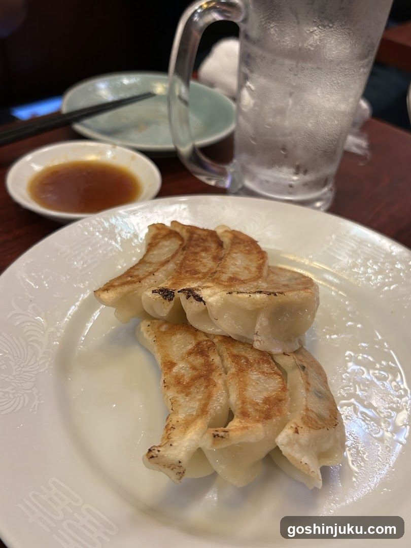 Gyoza with dipping sauce and water