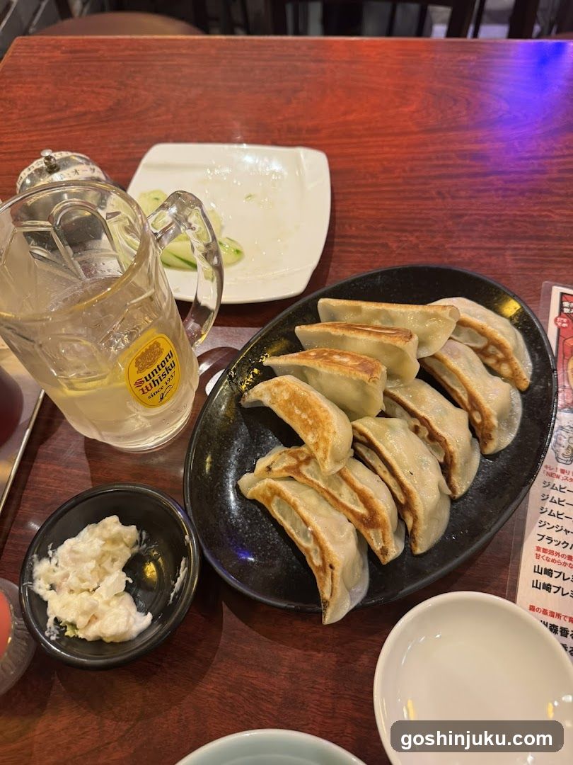 Gyoza Meal with Beer