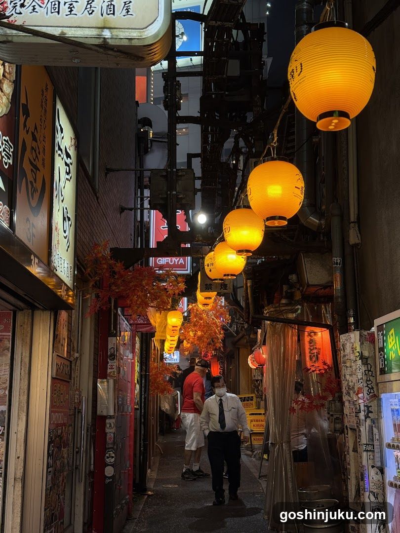 Nagatacho Alleyway at Night