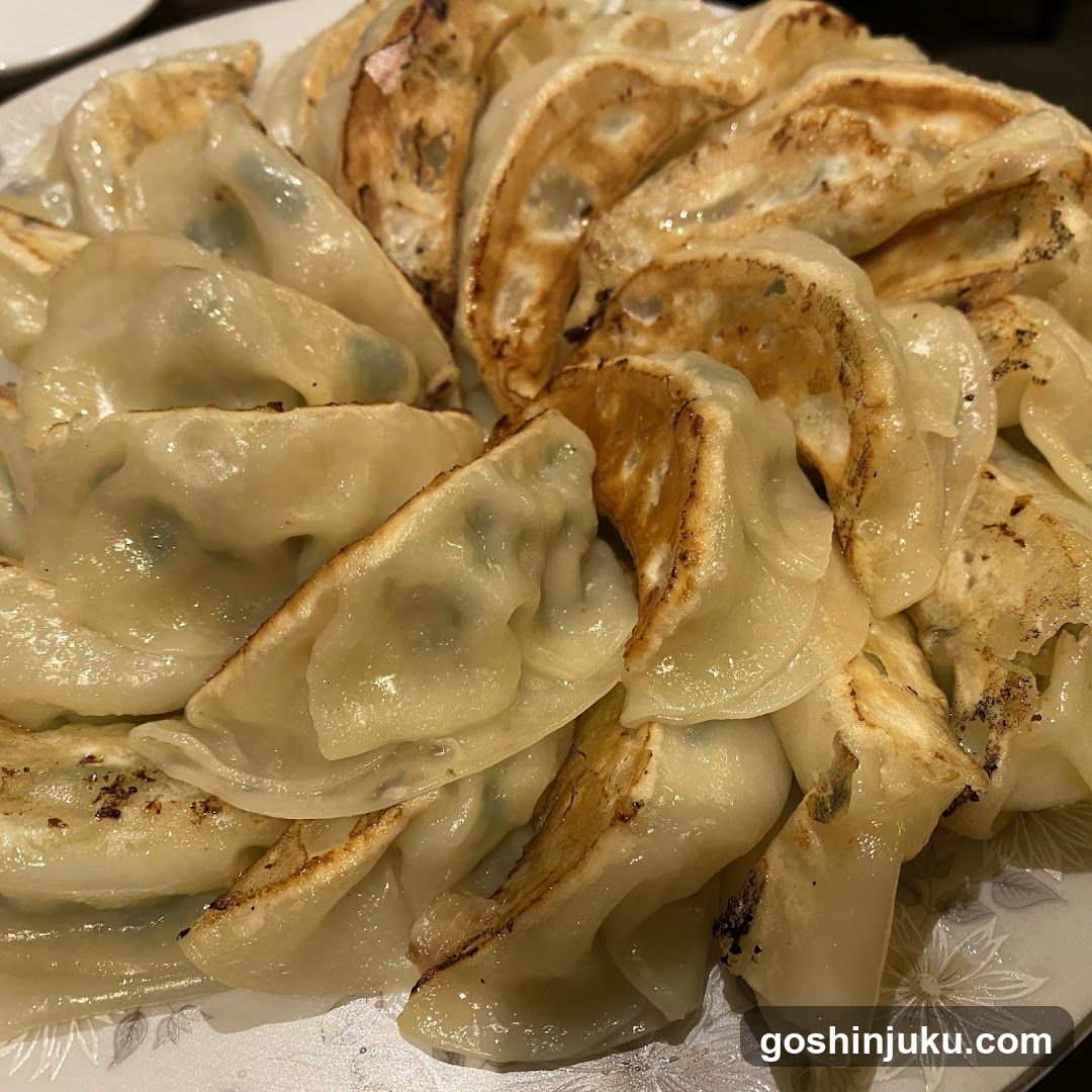 Gyoza (Pan-Fried Dumplings)