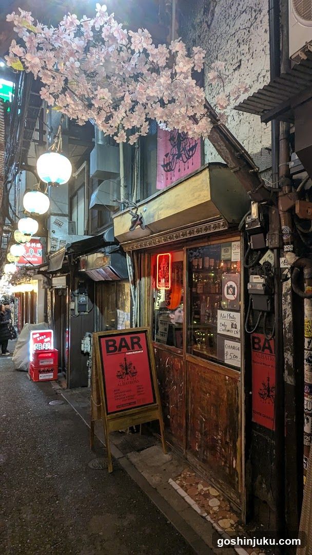 Night Street Scene with Bar Signage