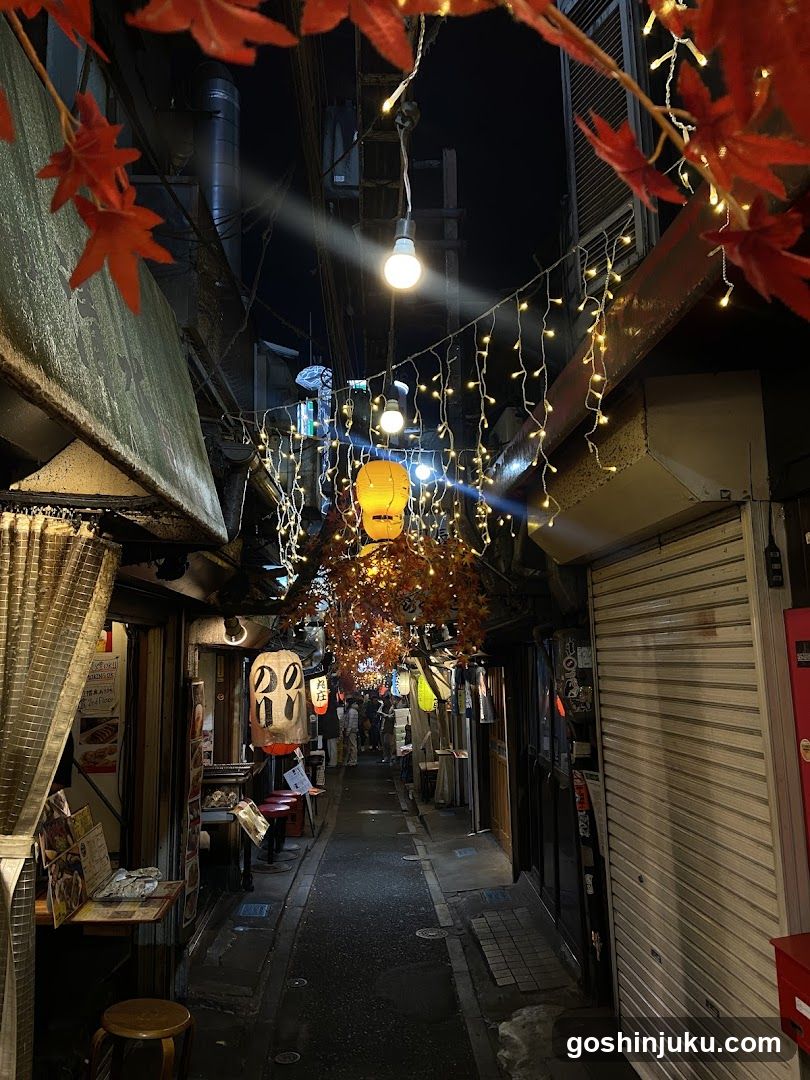 Night Alleyway with Festive Lights