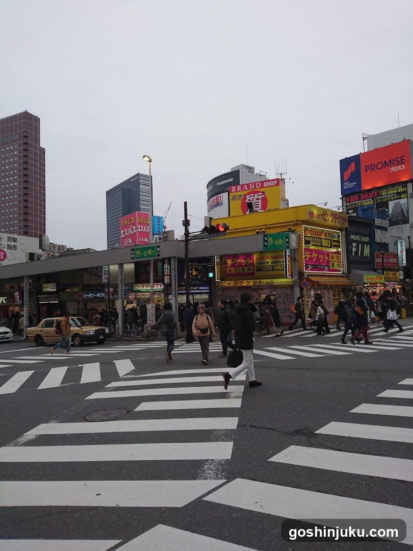 Busy Crosswalk in Japan