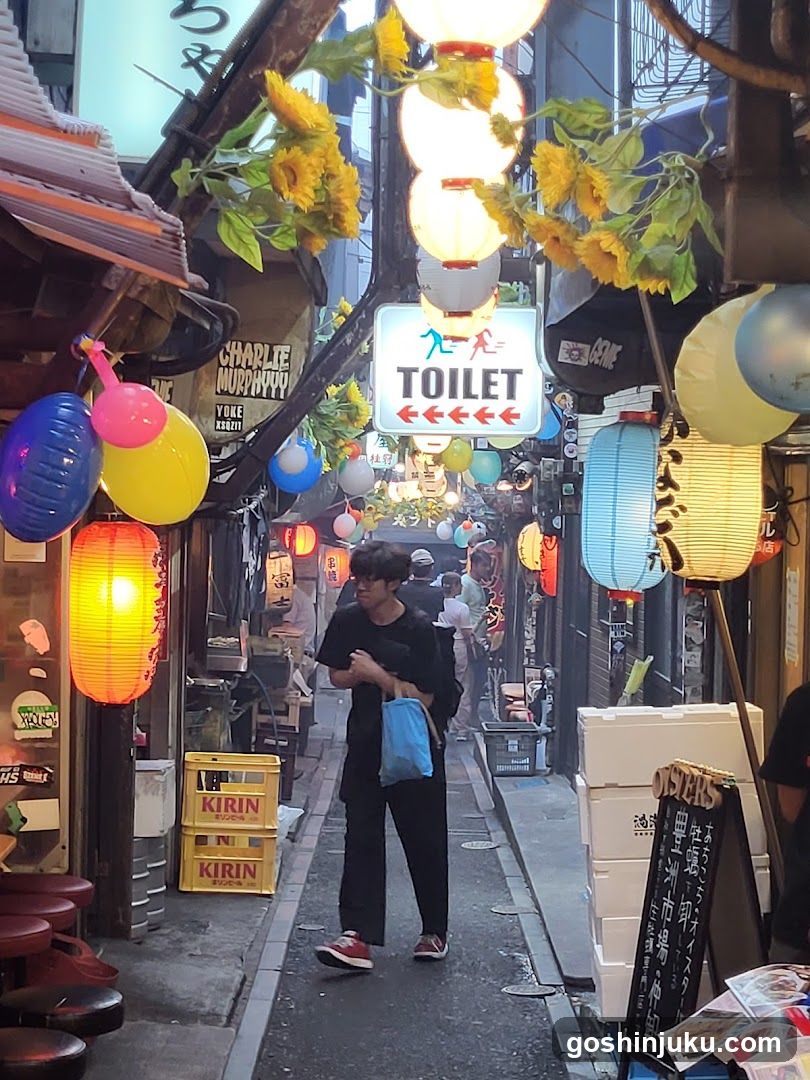 Nagatacho Street Scene