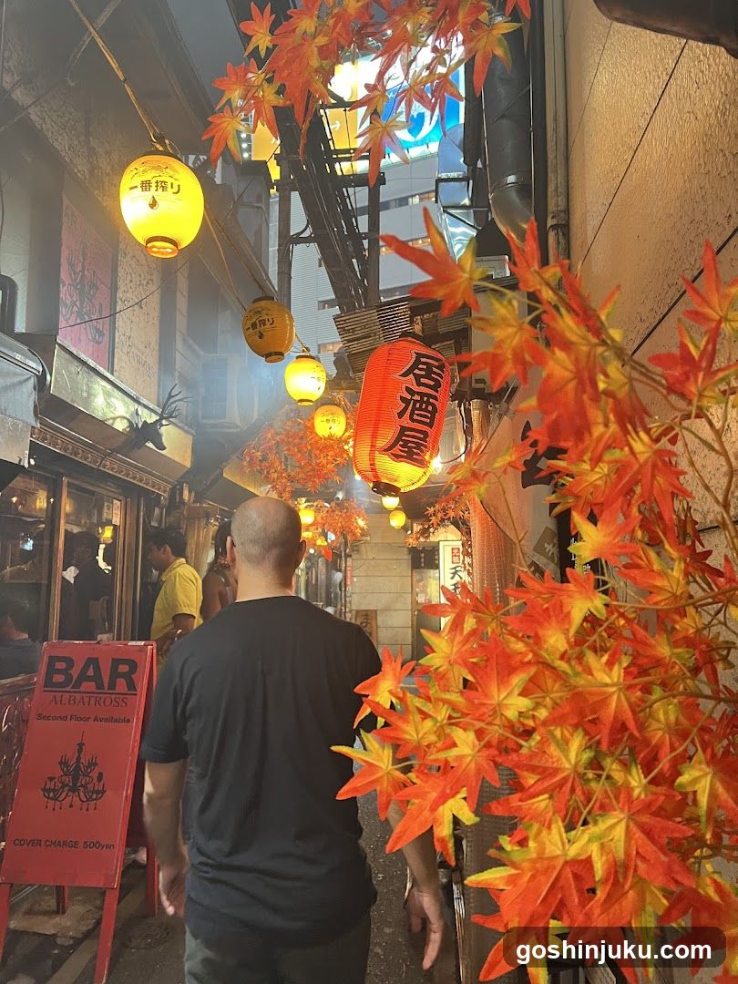 Night Alley with Lanterns and Maple Leaves