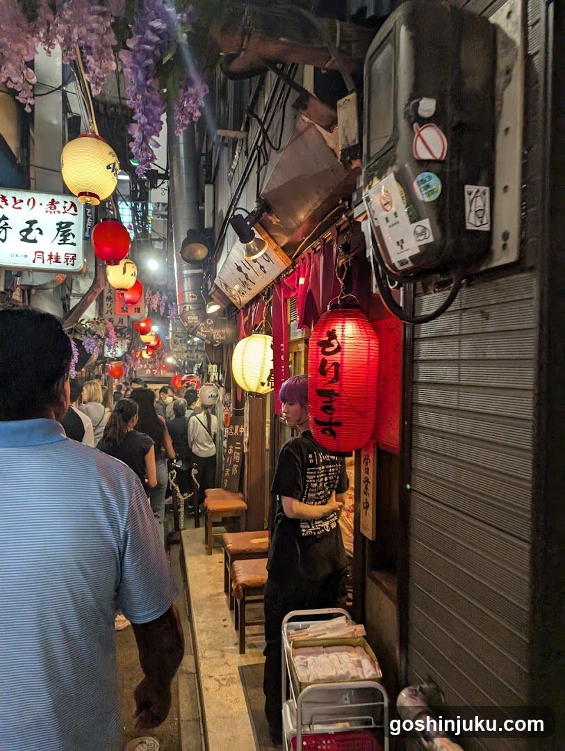 Nagatacho Street Scene