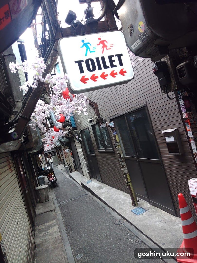 Street Scene with Toilet Sign