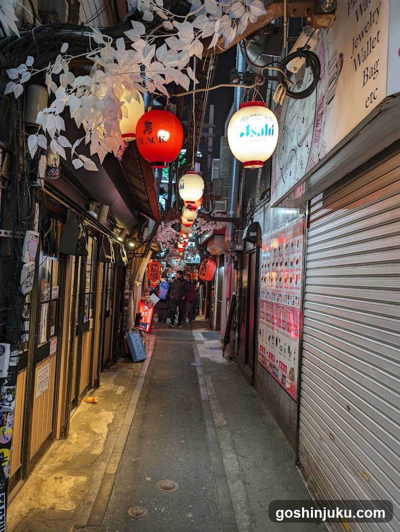 Nakamura-dori Alleyway at Night