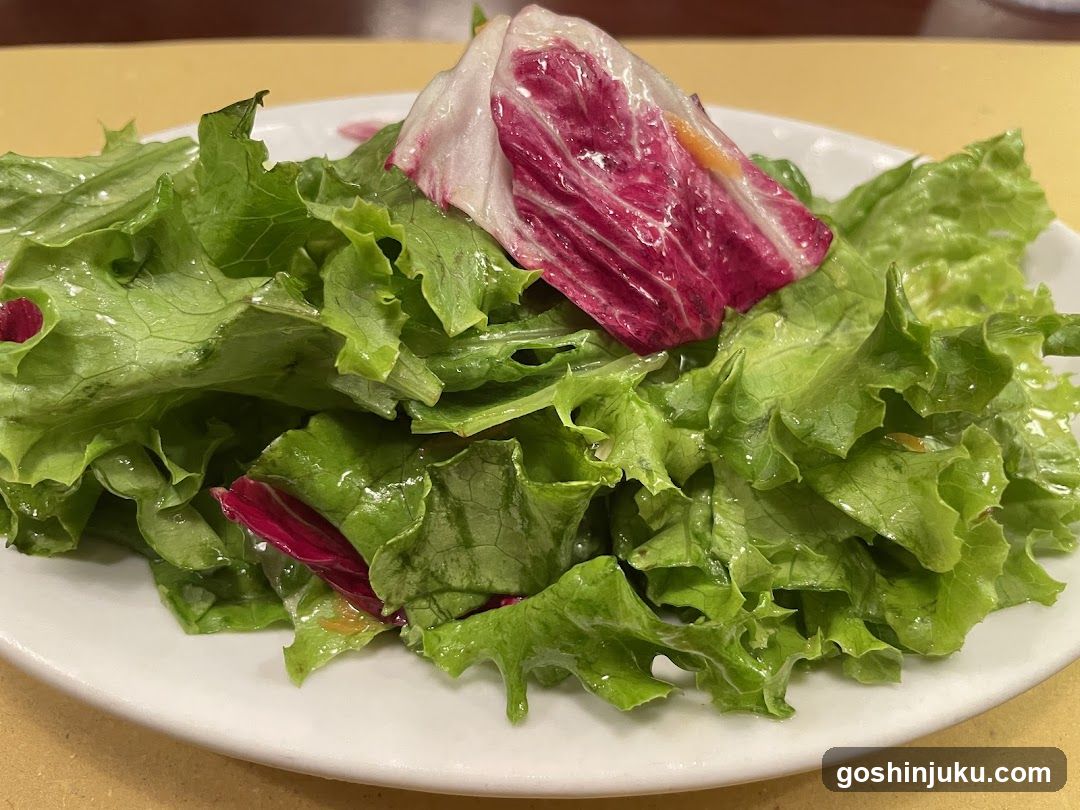 Salad with Lettuce and Red Cabbage