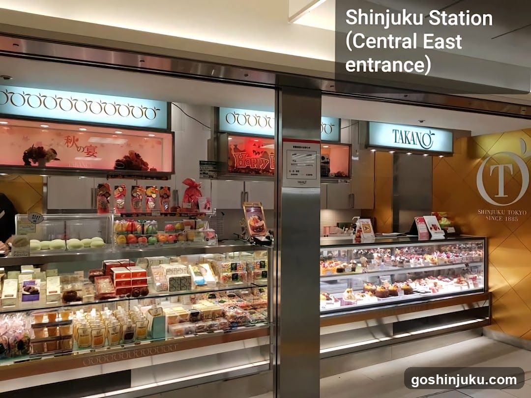 Shinjuku Station (Central East entrance)