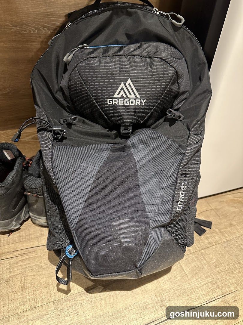 Gregory Backpack