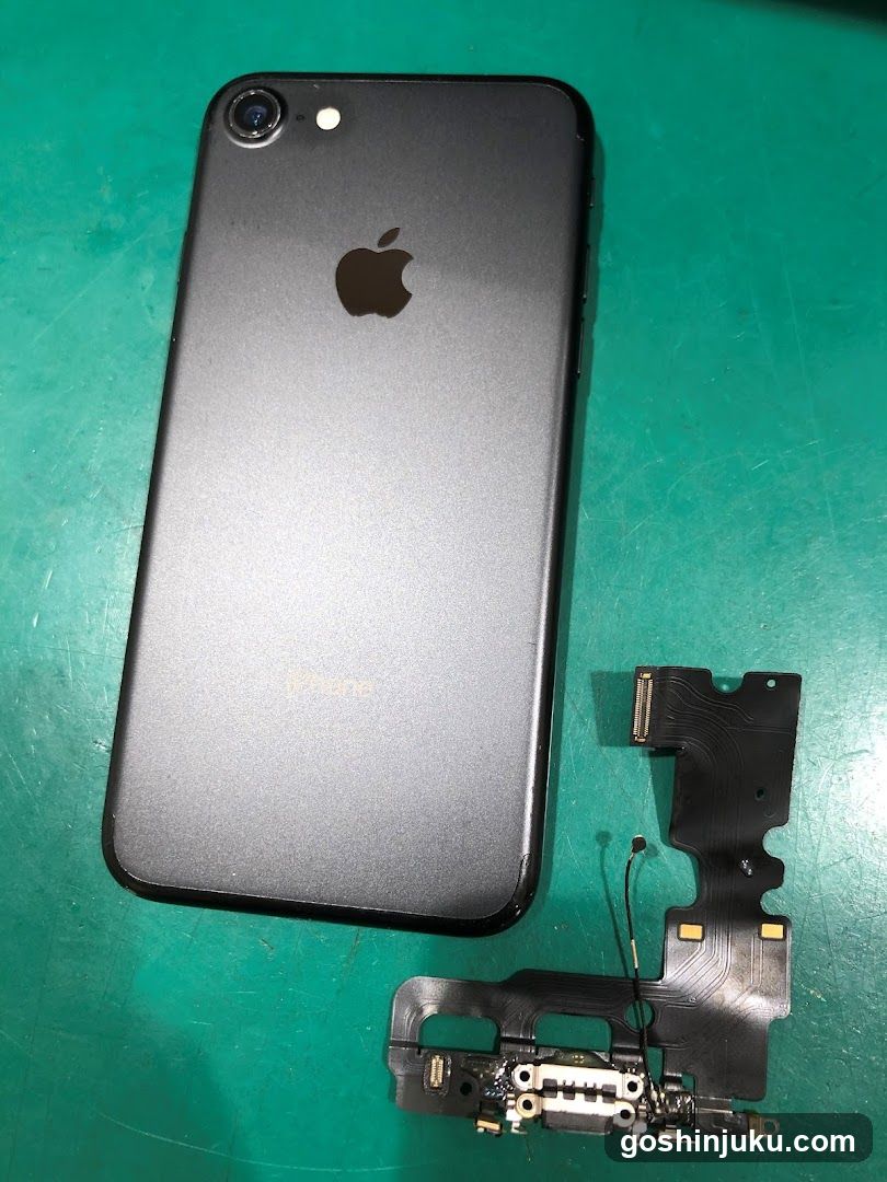 iPhone Back and Flex Cable