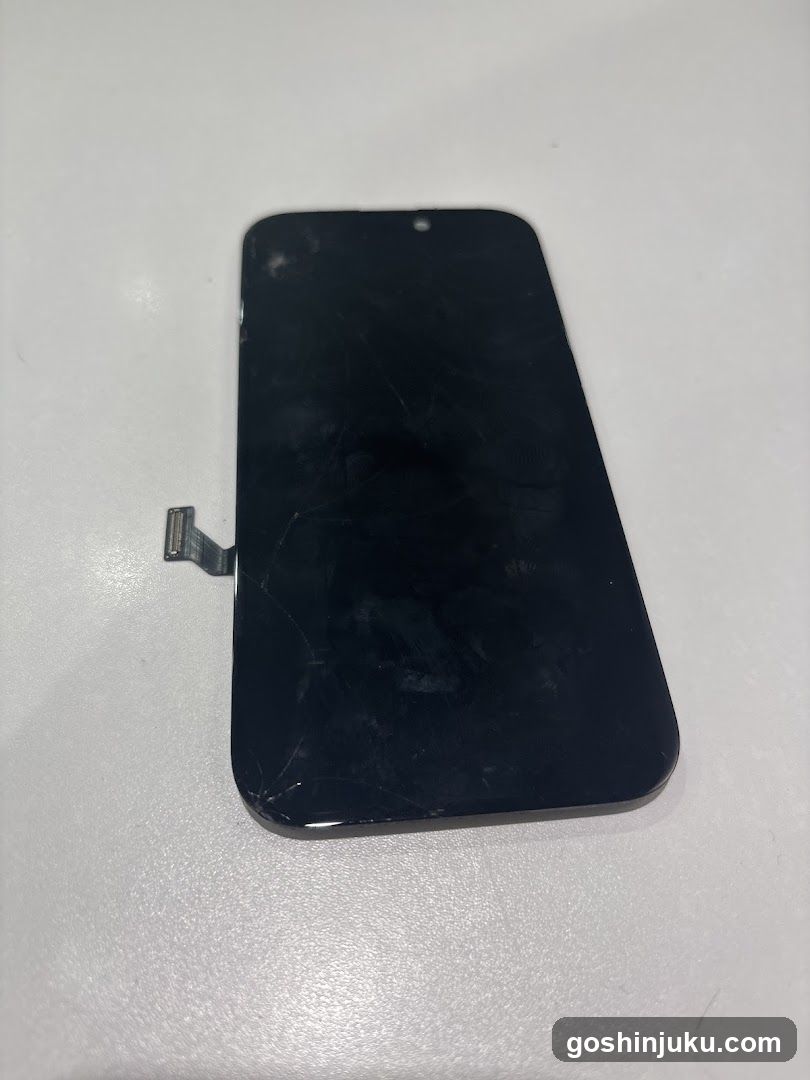 Damaged Smartphone Display Assembly