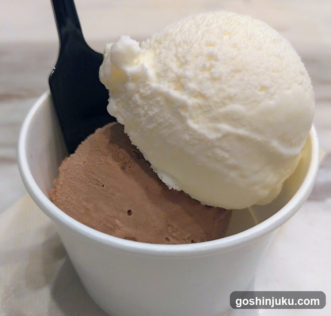 Ice Cream Cup