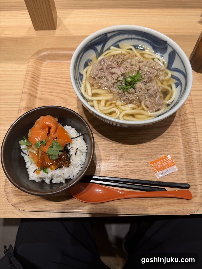 Japanese Meal with Udon and Salmon Rice Bowl