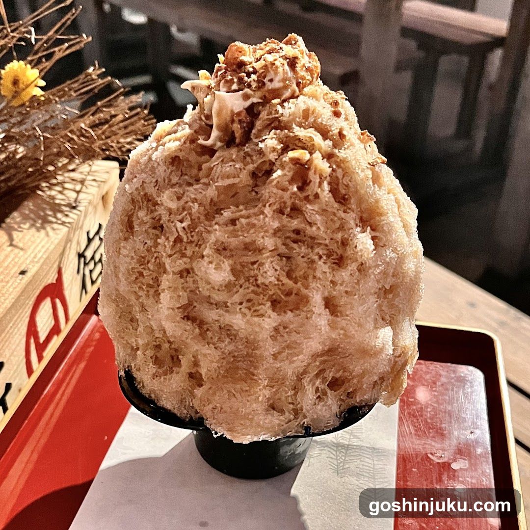 Shaved Ice Dessert with Toppings