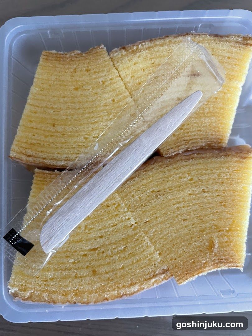 Cake Slices in Container