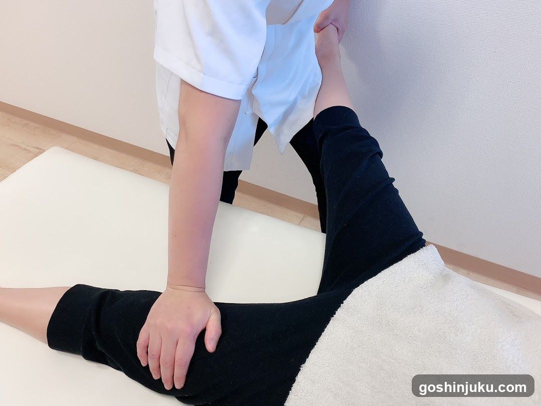 Physical Therapy Session