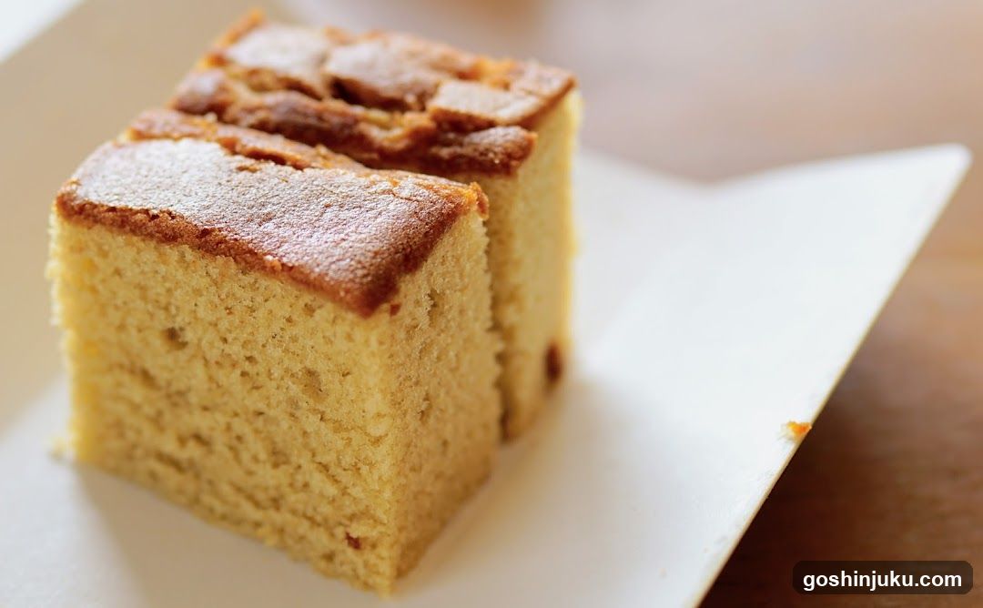 Cake Slice