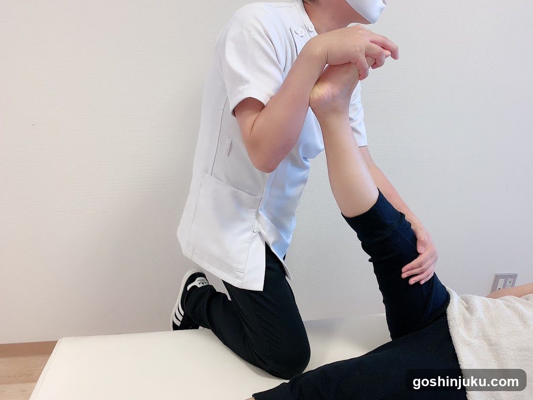 Physical Therapy Session