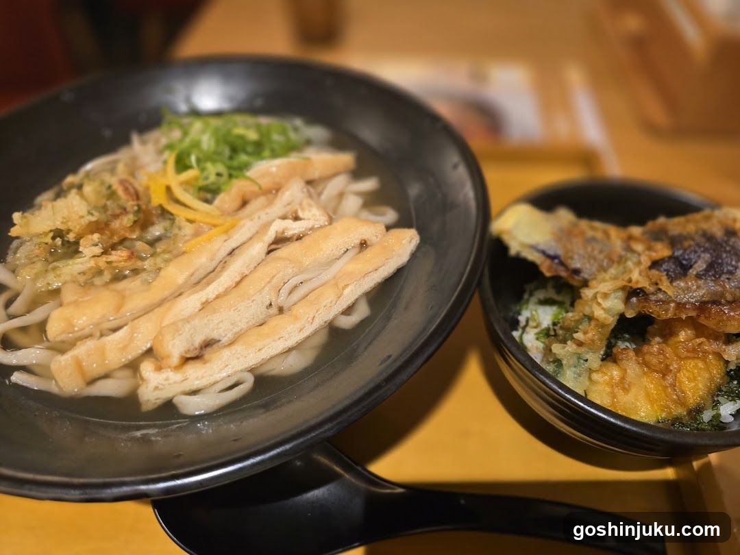 Japanese Udon Meal with Tempura