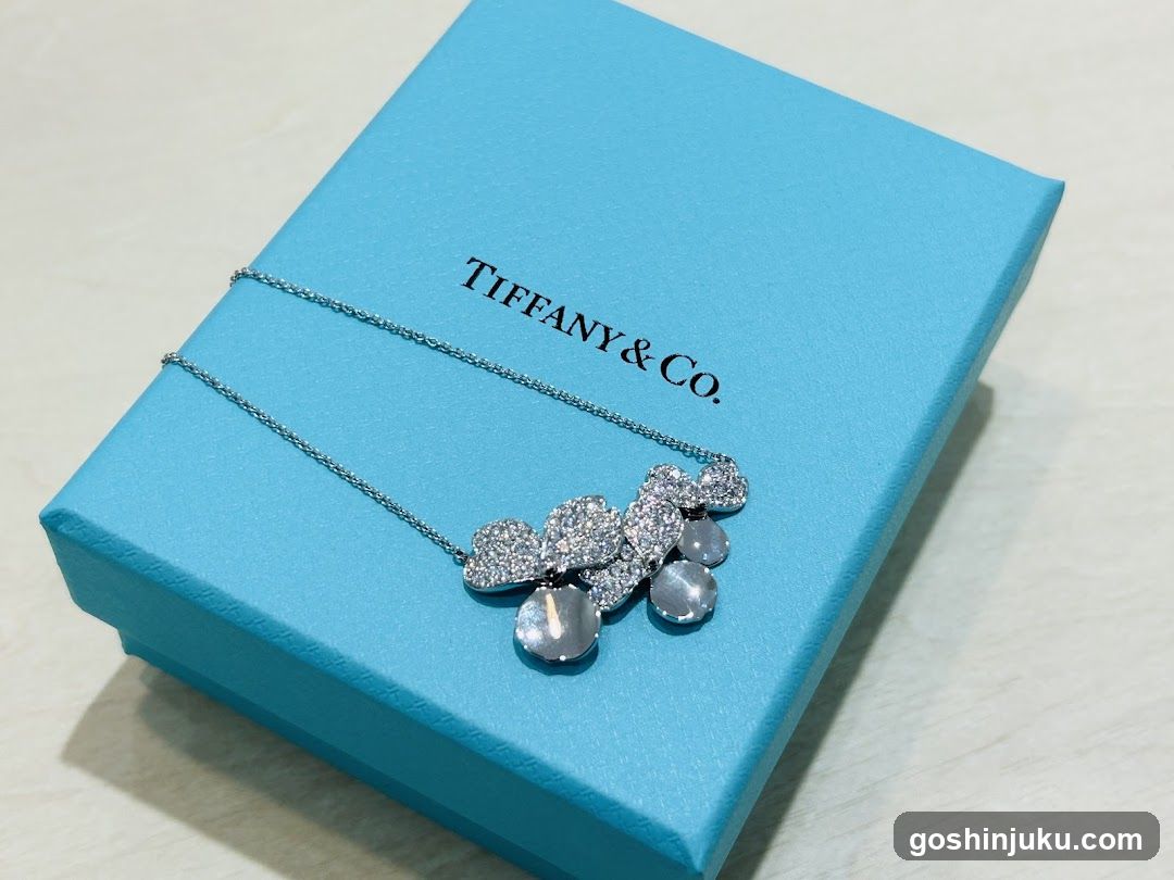 Tiffany & Co. Necklace on Blue Box