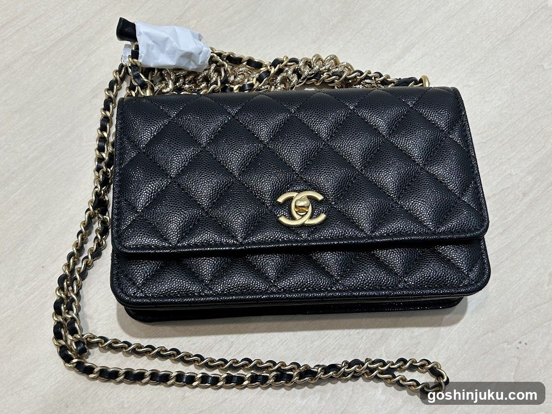 Chanel Quilted Leather Bag