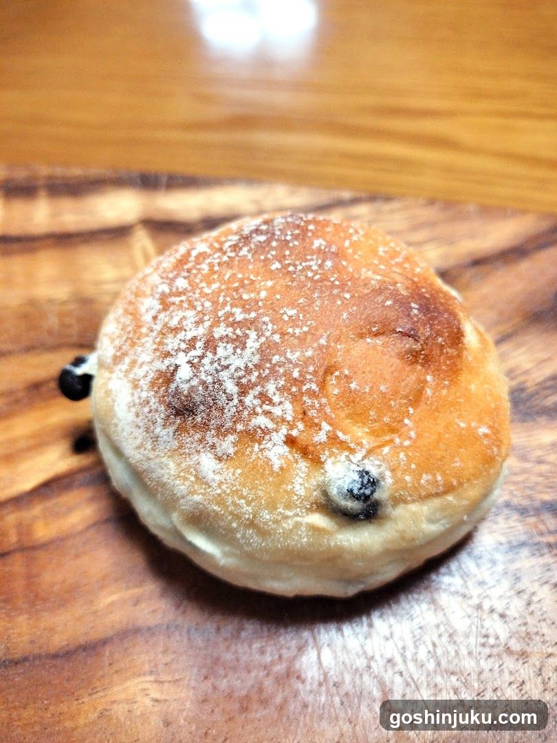 Blueberry Pancake with Powdered Sugar