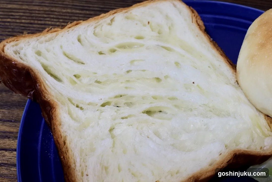 Toasted Bread Slice