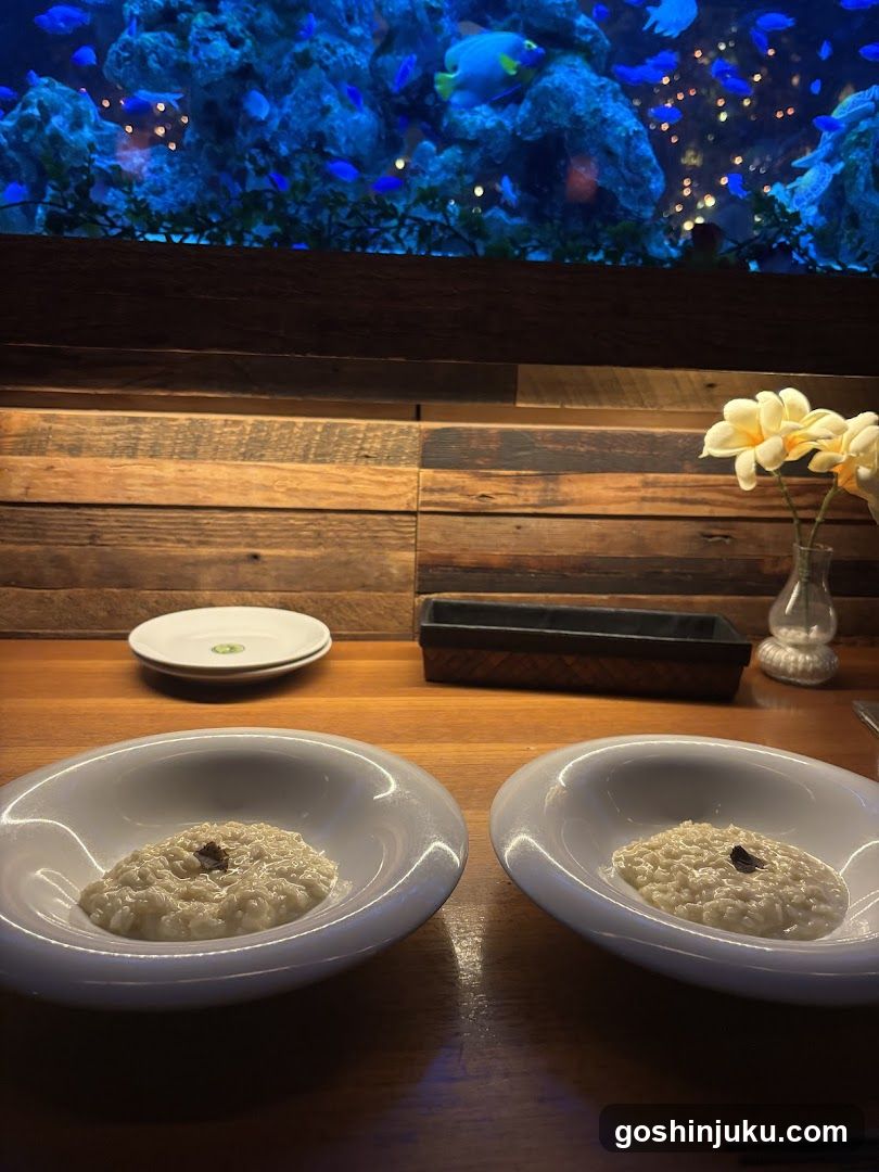 Rice Dish with Aquarium Background