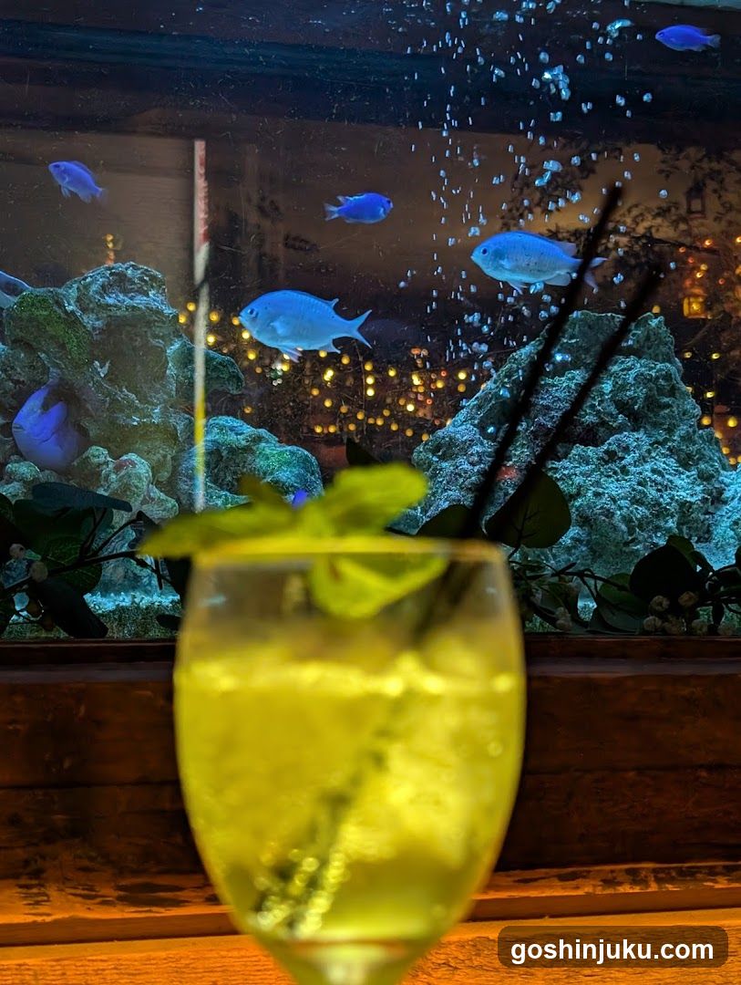 Cocktail with Fish Tank Background