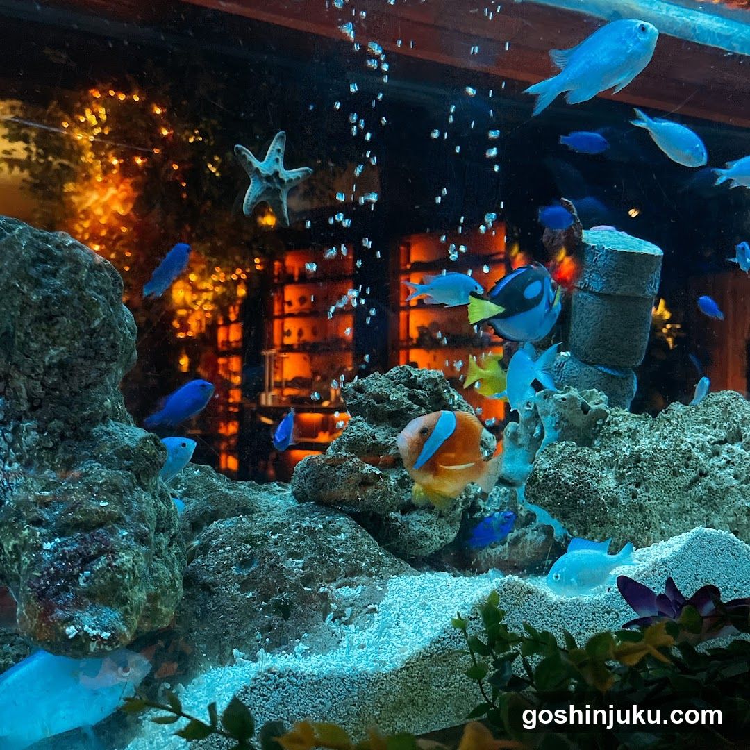 Aquarium Interior with Fish and Decorations
