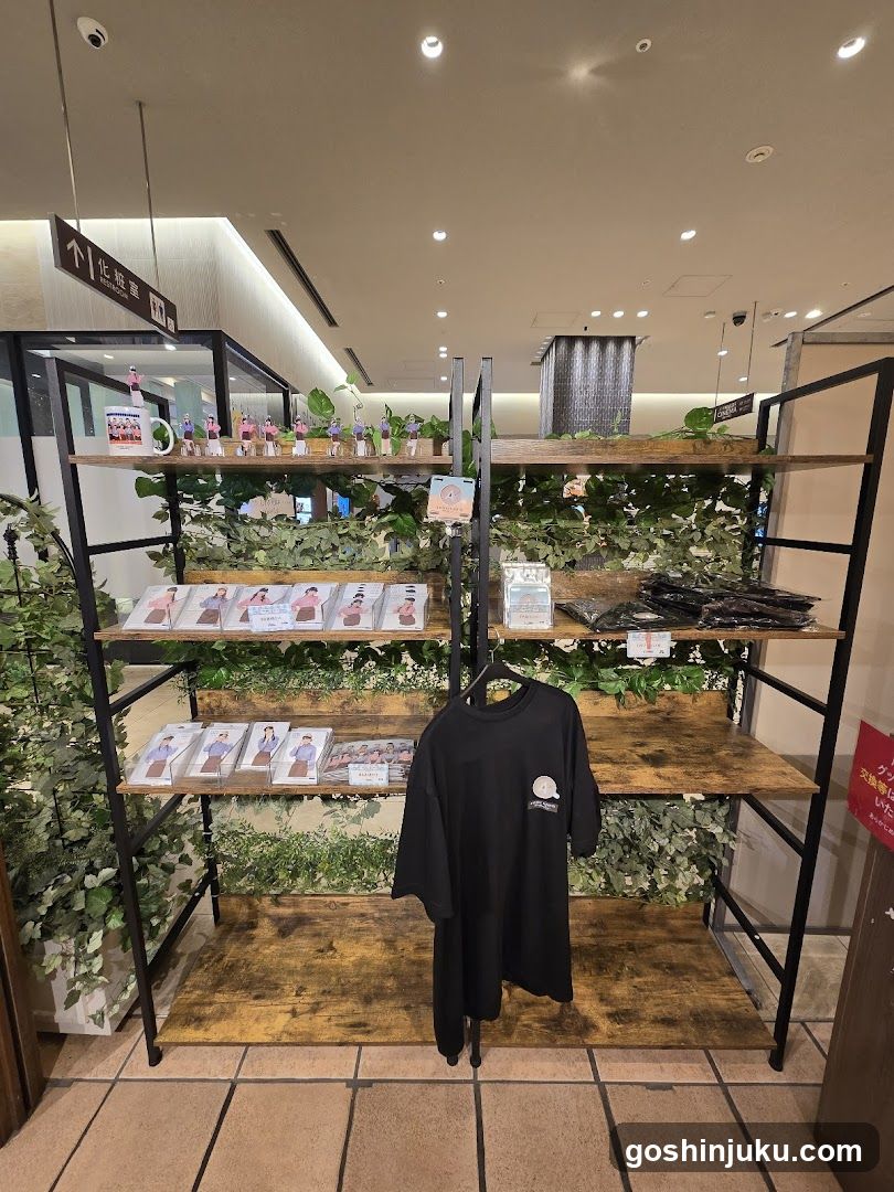 Merchandise Display Shelf