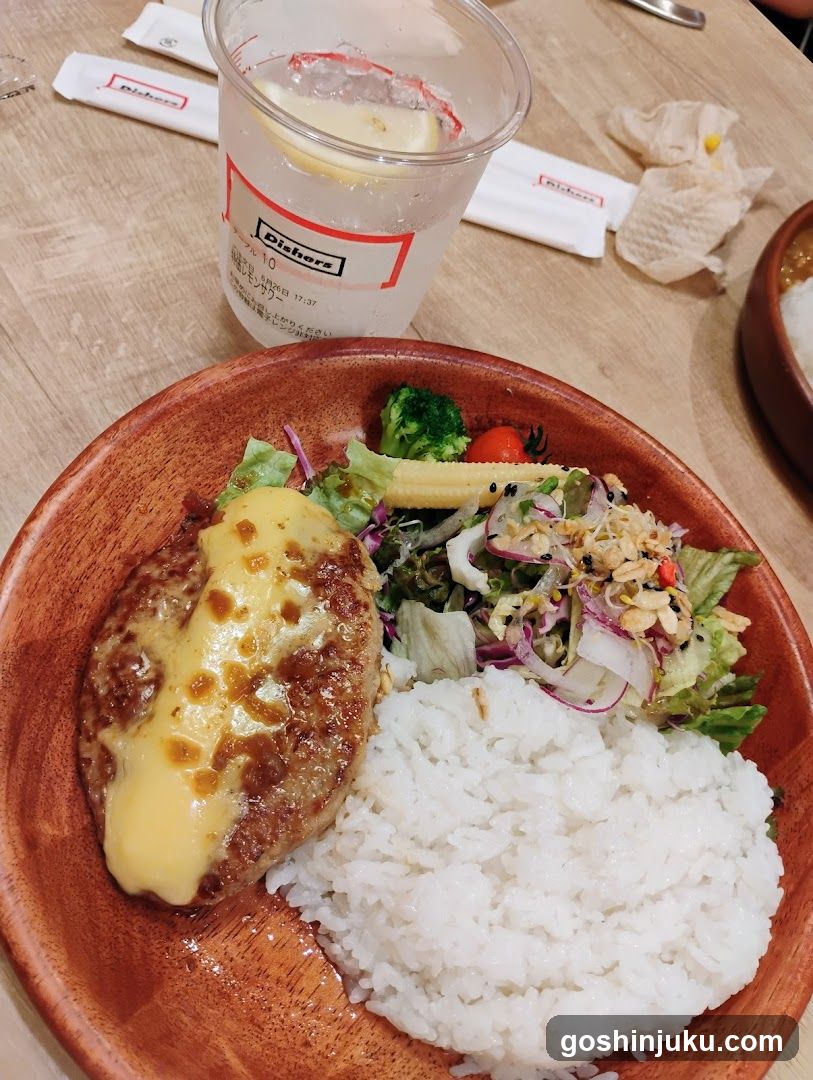 Lunch with Rice and Salad