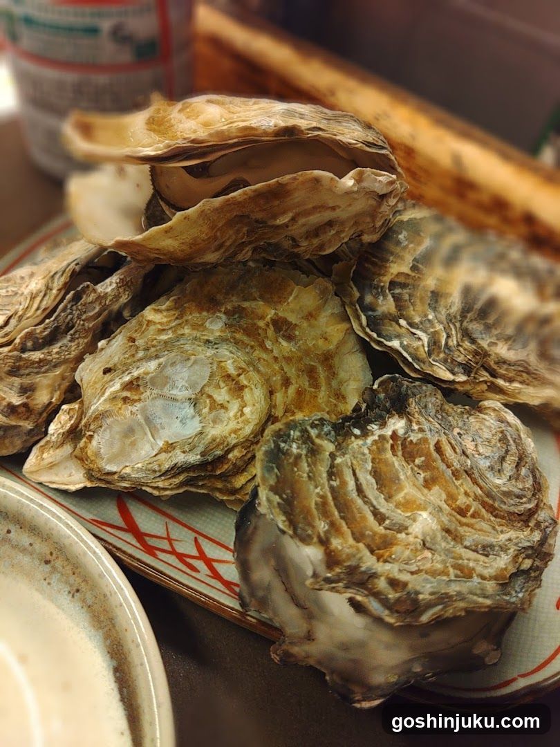 Oysters on a Plate