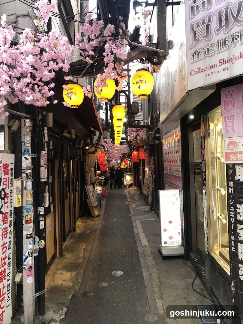 Nakamura-dori Alleyway in Shinjuku, Tokyo