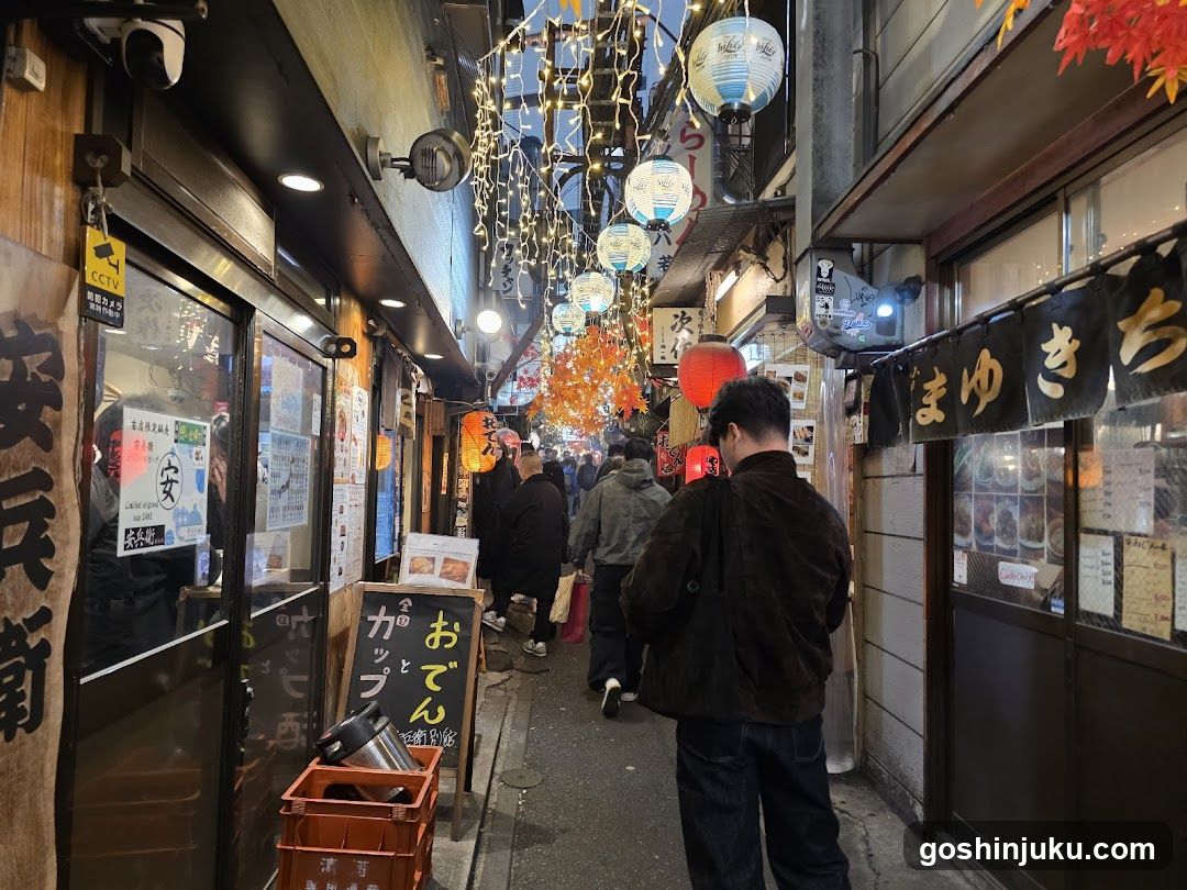 Nagatacho Street Night Scene