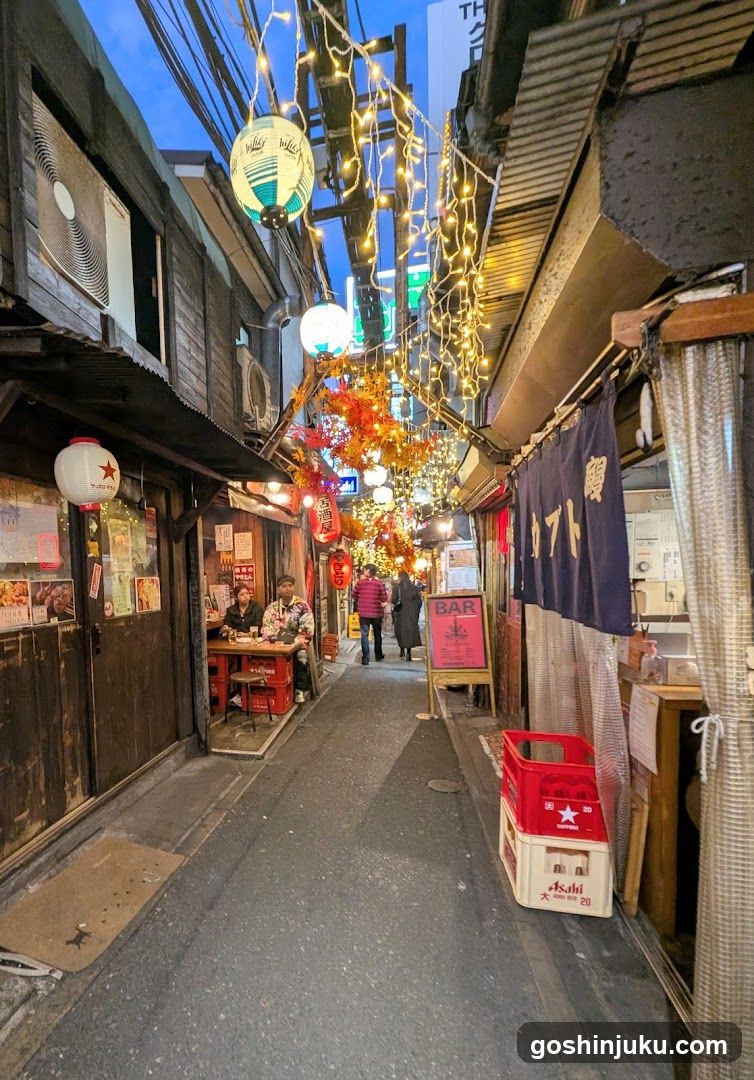 Nagatacho Street Night Scene