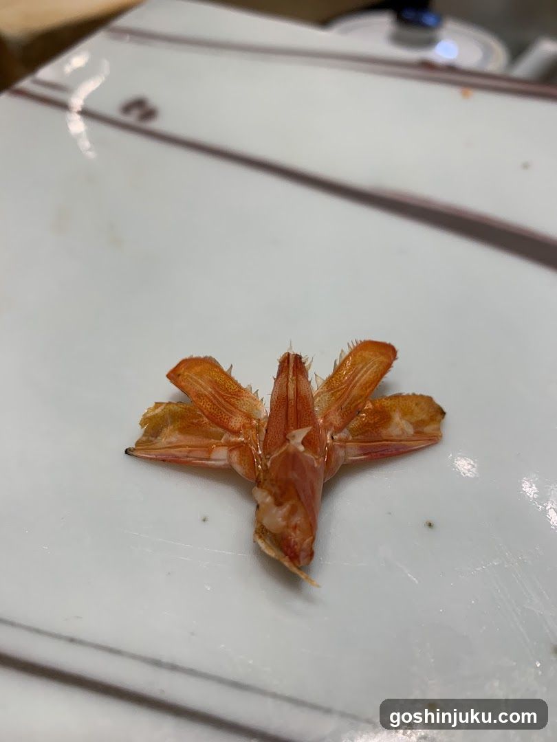 Crab Shell on Plate