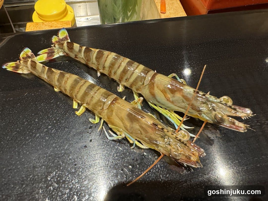 Raw Mantis Shrimp on Black Surface