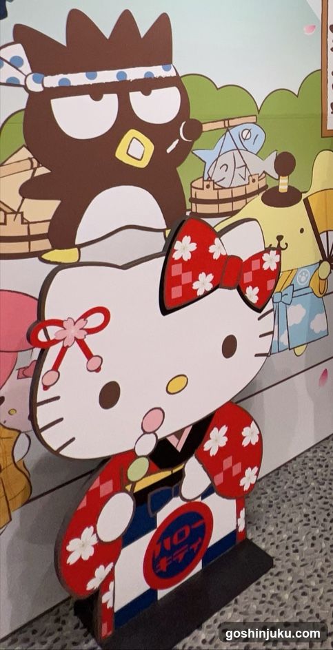 Hello Kitty and Sanrio Characters Display
