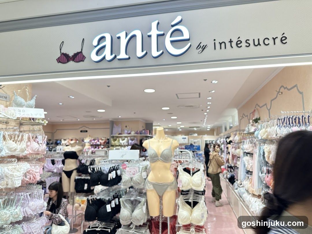 anté by intesucre